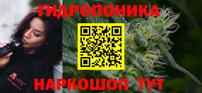 мдма Можга
