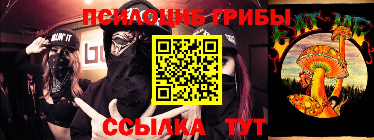Псилоцибиновые грибы мицелий Электросталь